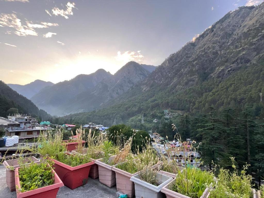 Diamond Valley X One Light Stays Kasol Exteriör bild